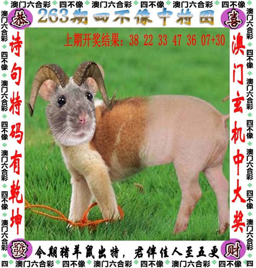 amsbx.jpg