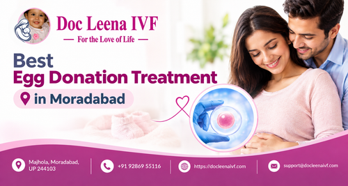 Best Egg Donation Treatment in Moradabad | Docleenaivf.png