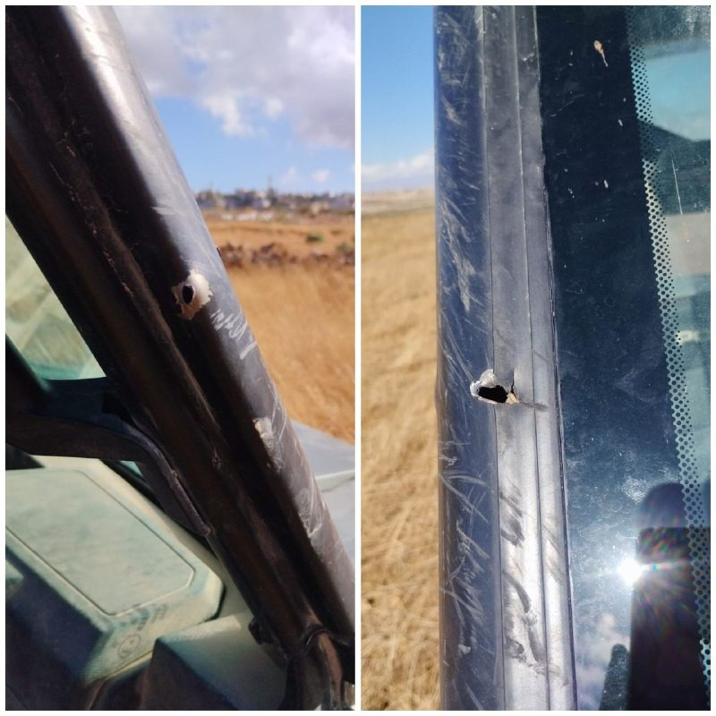 صورة الخبر