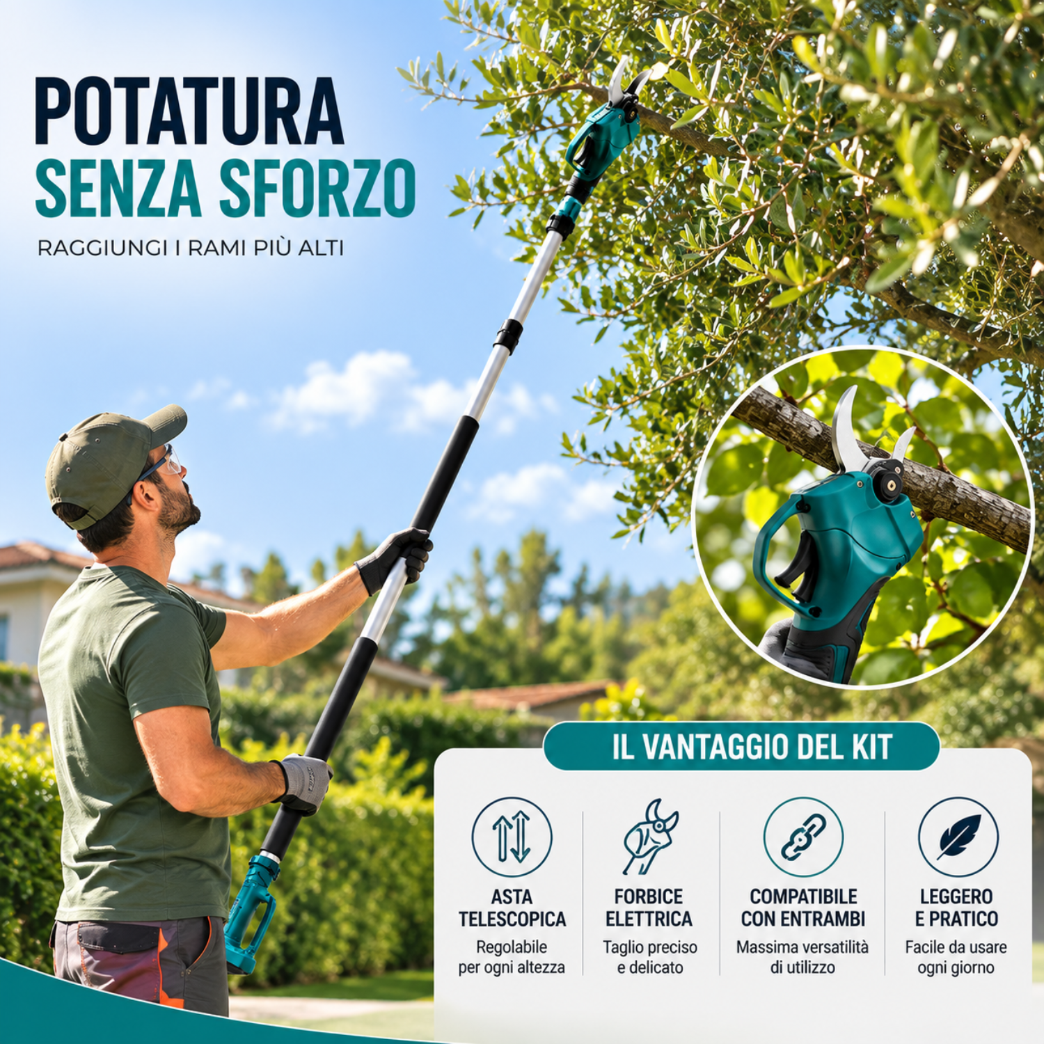 Siepi e arbusti