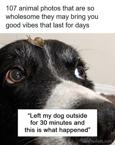 good vibes happy images wholesomeasheck (1).jpg