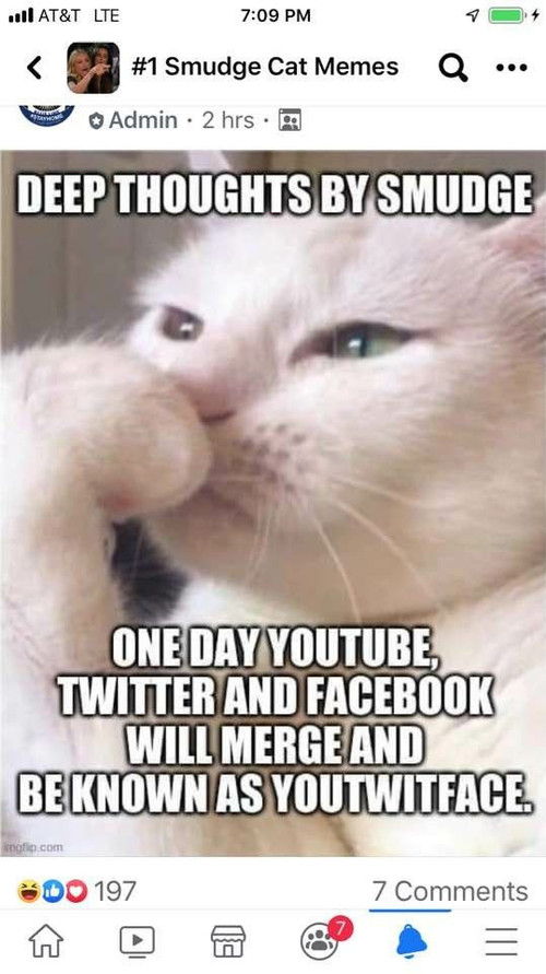1000001151