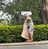 4103523658.gif