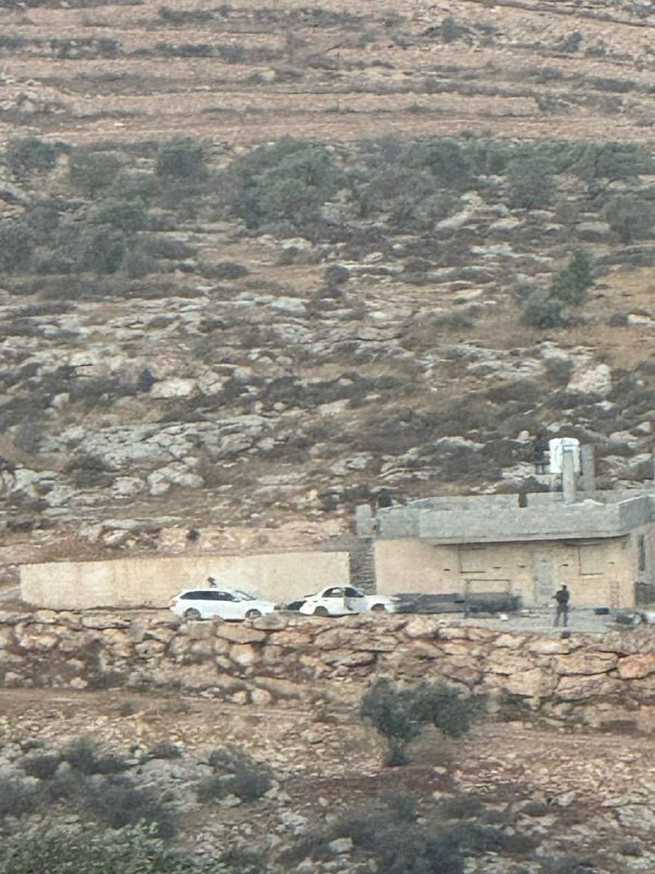 صورة الخبر