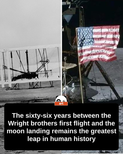 draft 545.jpg
