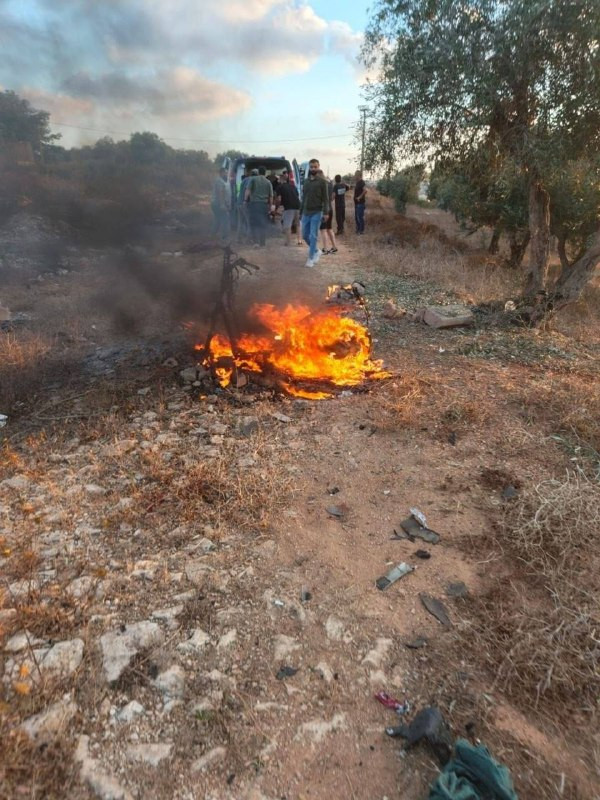 صورة الخبر