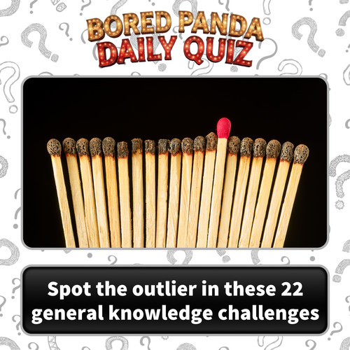 pick the odd one out general knowledge quiz part 3 socials.jpg