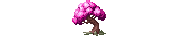 a blossum tree pink bonsie 2.png