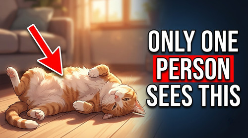 1 Create a YouTube thumbnail ima s1.jpg