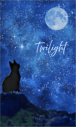 Twilight 20260903 195044 0000.gif