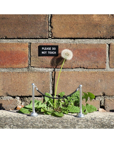Artist continues to create fun street signs marking small places 617661ee59a7a 880 bordered.jpg