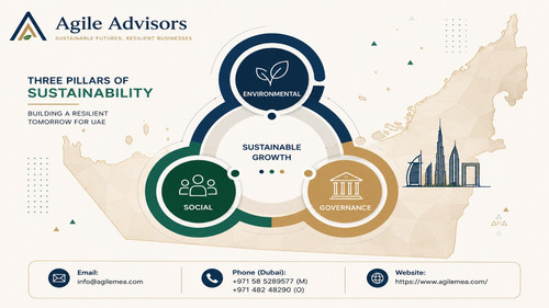Top Sustainability and ESG Consulting Firm in UAE.jpg