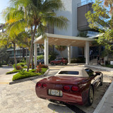 sebastian 894