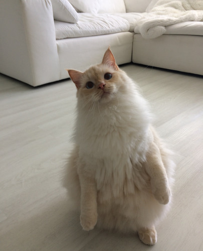 sebastian 1025.jpg