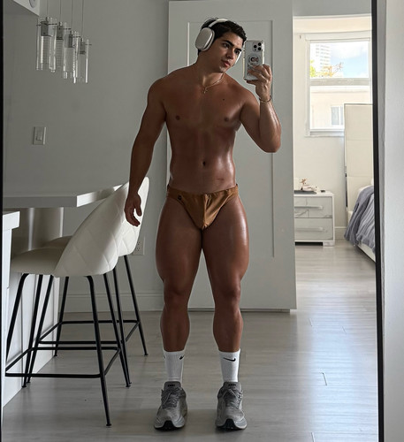 sebastian 293