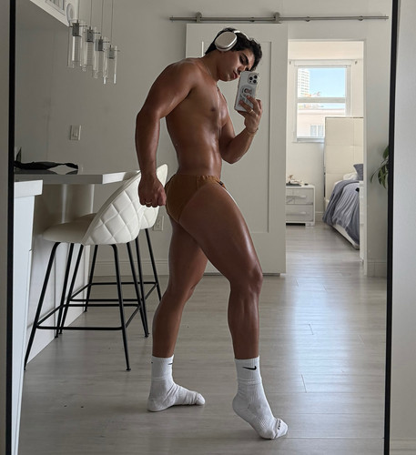 sebastian 290