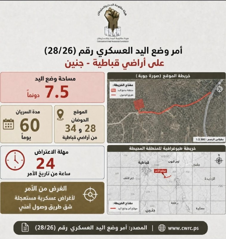 صورة الخبر