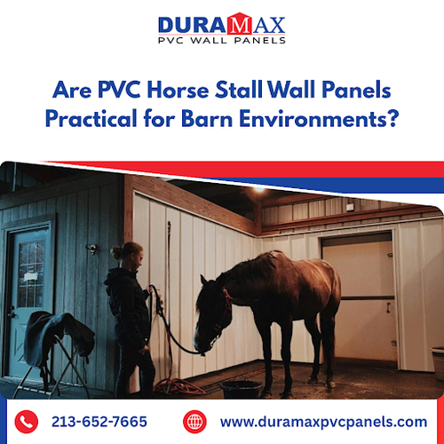 Are PVC Horse Stall Wall Panels Practical for Barn Environments?.2