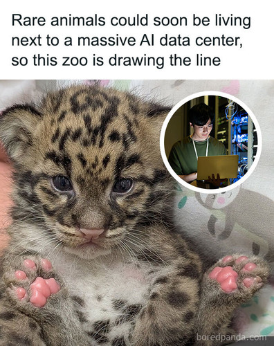 nashville zoo fights data center threat sharing.jpg