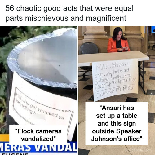 chaotic good pics.jpg