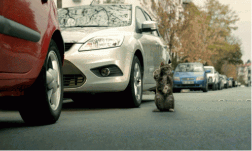 nK1buDB.gif