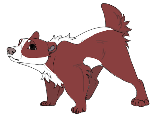 IMG 0031.png