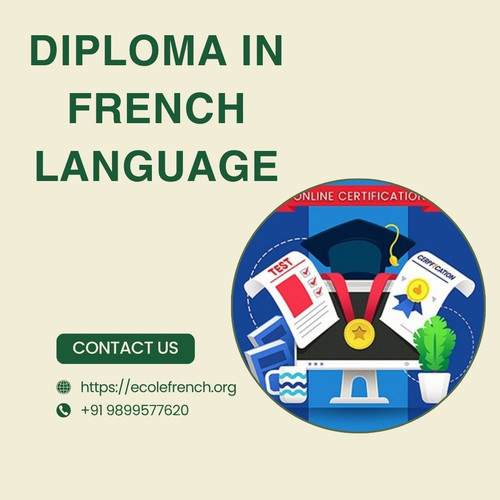 Career Opportunities After a Diploma in French Language.jpg
