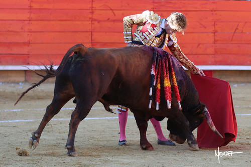 215A0411