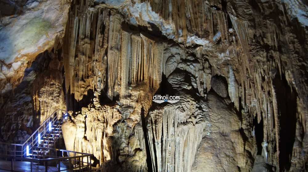 Quẩy tưng bừng Quảng Bình chỉ hết có 3 triệu :O 2 du lịch phong nha kẻ bagf