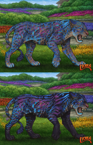 33514.jpg