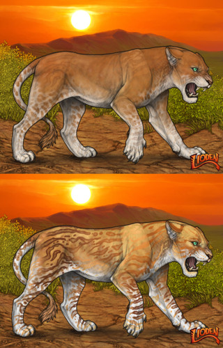 33424.jpg