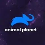 8102026163124