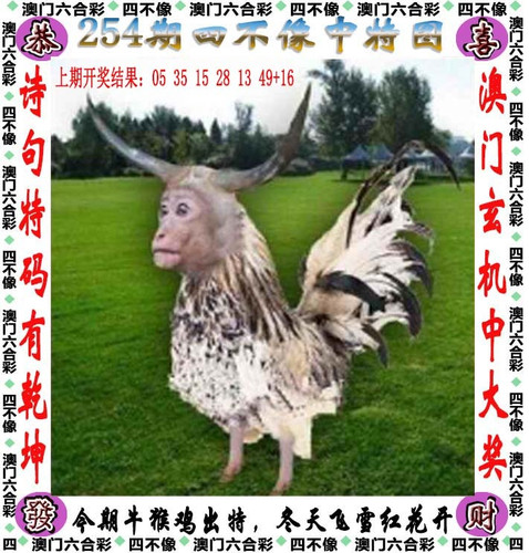 amsbx.jpg