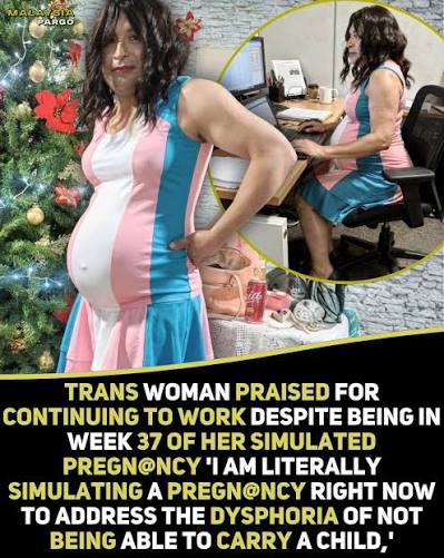 TRANSP2.jpg