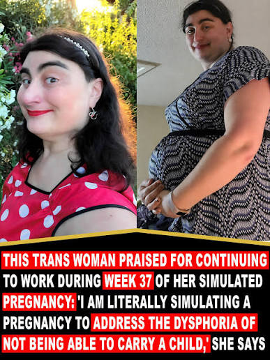 TRANSP.jpg