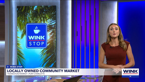 08.28 04.00.00 WINK News at 11 ᴺᵉʷ. Local and regional news..ts snapshot 34.53.615