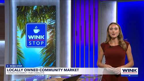 08.28 04.00.00 WINK News at 11 ᴺᵉʷ. Local and regional news..ts snapshot 34.57.240