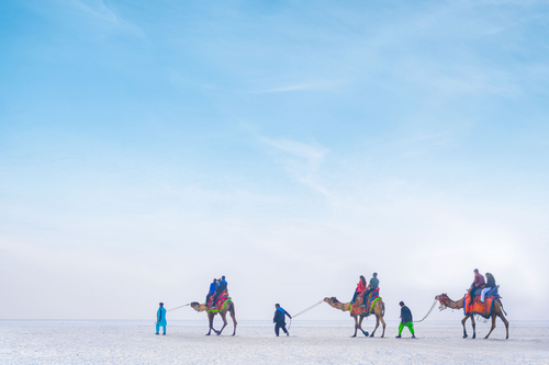 Beyond the White Rann Exploring the Culture, Heritage & Landscapes of Kutch.png