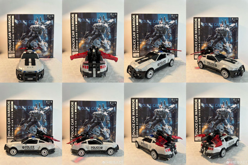 y25 (5)