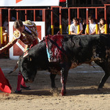 nKrDJ4I.th.jpg