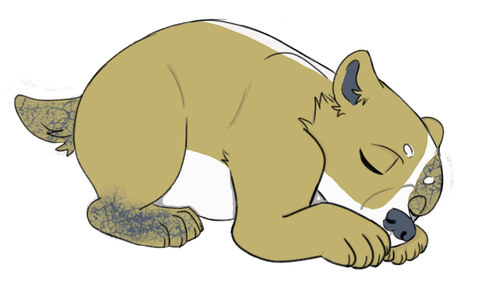 IMG 0027.png