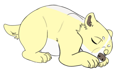 IMG 0026.png