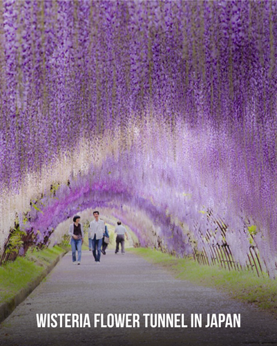 2 images (6).png