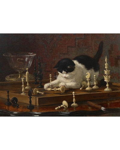 Henritte Ronner Knip kat 12 6a9d644b99b6e 700 bordered.jpg