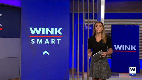 10.09 04.00.00 WINK News at 11 ᴺᵉʷ. Local and regional news..ts snapshot 28.00.756
