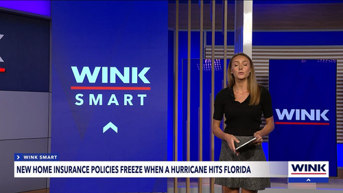 10.09 04.00.00 WINK News at 11 ᴺᵉʷ. Local and regional news..ts snapshot 28.46.962.jpg