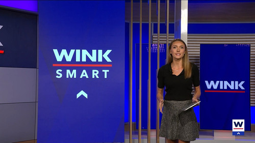 10.09 04.00.00 WINK News at 11 ᴺᵉʷ. Local and regional news..ts snapshot 28.02.768