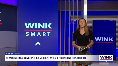 10.09 04.00.00 WINK News at 11 ᴺᵉʷ. Local and regional news..ts snapshot 28.50.594