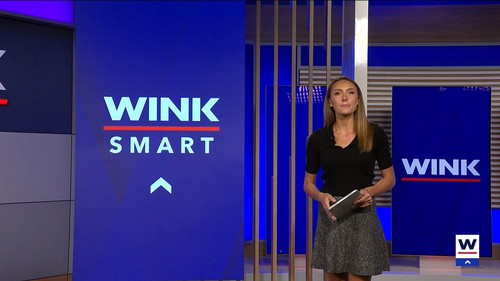 10.09 04.00.00 WINK News at 11 ᴺᵉʷ. Local and regional news..ts snapshot 27.59.012