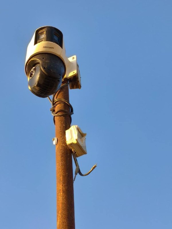 صورة الخبر